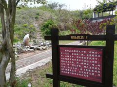-金鸡湖桃花岛