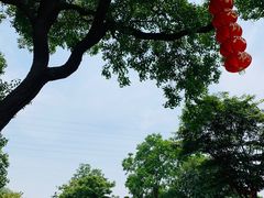 -嬉乐湾休闲旅游区