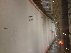 iphone_upload_pic-乔波室内滑雪场