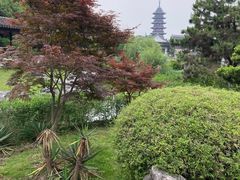 -苏州吴宫泛太平洋酒店