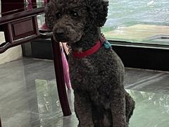 -毛华美食(清扬路店)