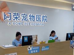-阿荣24H宠物医院·综合型转诊中心·CT·核磁影像中心
