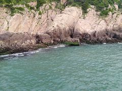 -枸杞岛