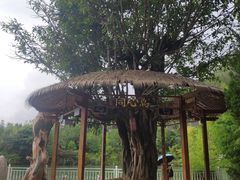 -蝴蝶泉公园