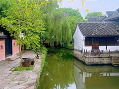 -鲁镇