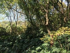 -杭州半山国家森林公园