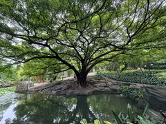 -晓港公园