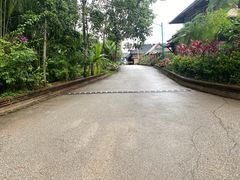 -西双版纳傣族园