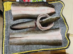 鲜活鳗鱼-奉座泥炉烤肉·活鳗·稻草黄油鸡(龙美店)