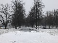 -莫斯科大学