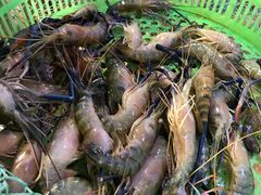 -三个渔夫·蒸汽海鲜(小白楼店)