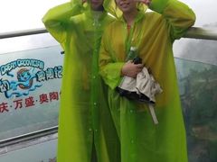 -梦幻奥陶纪景区