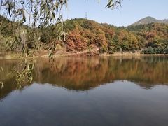 -六里坪国家森林公园