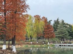 -白塘生态植物园