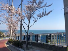 -Cafe Rooftop Cheongsapo