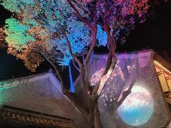 -东关历史文化旅游区-东门遗址