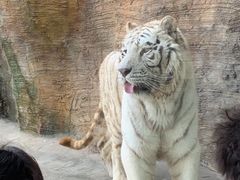 -杭州野生动物世界