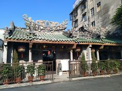 -老妈宫粽球