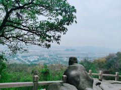 -灵岩山风景区