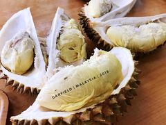 貓山王榴蓮-新峰肉骨茶