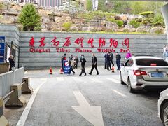 -青藏高原野生动物园