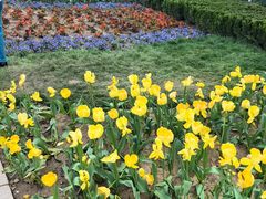 -石家庄市植物园