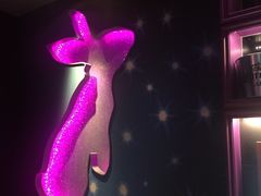 -米乐星世界KTV