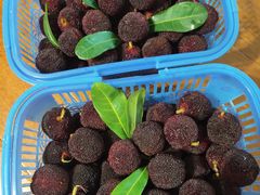 -上海龙吴水胜海发市场