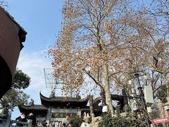 -灵顺寺
