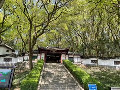 -上海佘山国家森林公园天马山园