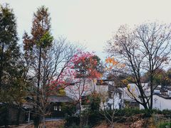 -塔川景区