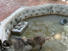 -水上乐园·欢乐世界