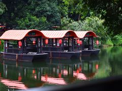 -侨美·唐荔园·40年地道粤菜