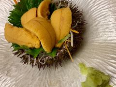 海胆&nbsp;刺身-京怀石·壬生
