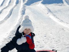 -绿野森林乐园冰雪季