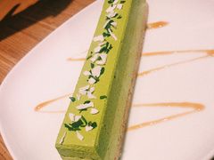 -柴务处·柴犬主题狗咖