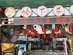 -岭下农庄·农家菜·野生大头鱼·公司团建(福永凤凰山店)