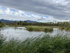 -野鸭湖国家湿地公园