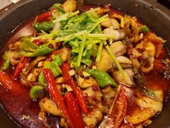 石锅鱼-辣得香川菜馆(横屿鳝溪佳园店)