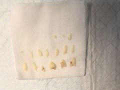 -派联宠物医院·24h·CT·异宠