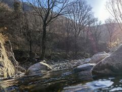 -秦岭风景区