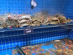 -乔哥铭洋海鲜自助(皇城恒隆广场店)