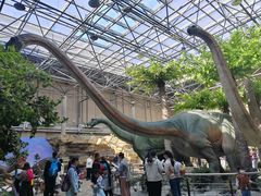 -国家自然博物馆