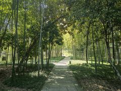 -兰亭风景区