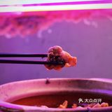 佛山探店|工业风大排档❗性价比啫煲好惹味