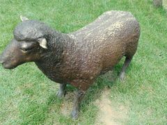 -武清南湖绿博园