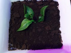 -炉鼎记私房菜(总店)