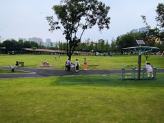 -府河摄影公园