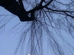 -迎泽公园