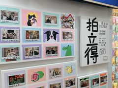 -猫的天空之城概念书店(大学路店)